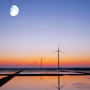 Meet your Posher, Alan